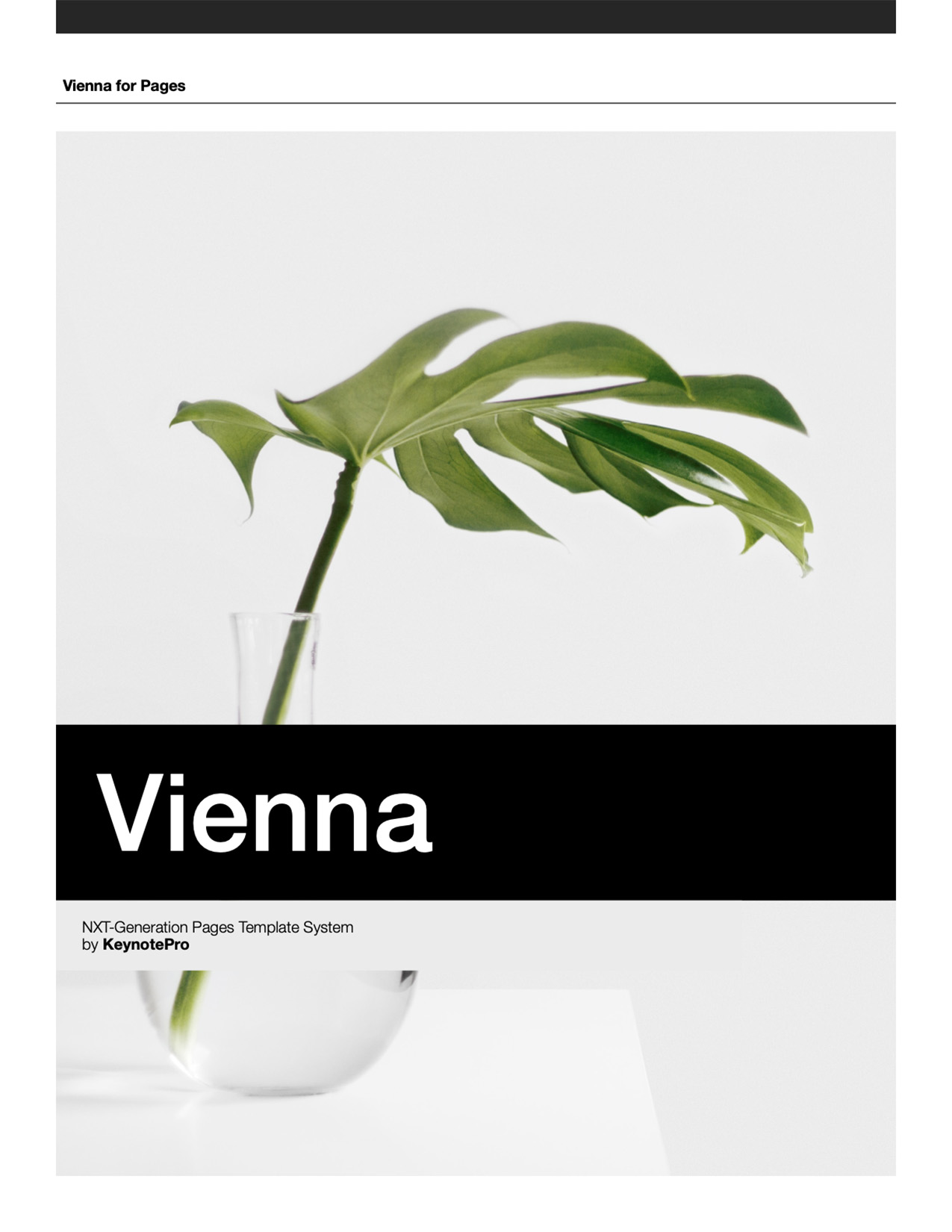 Cover Page - Vienna for Pages