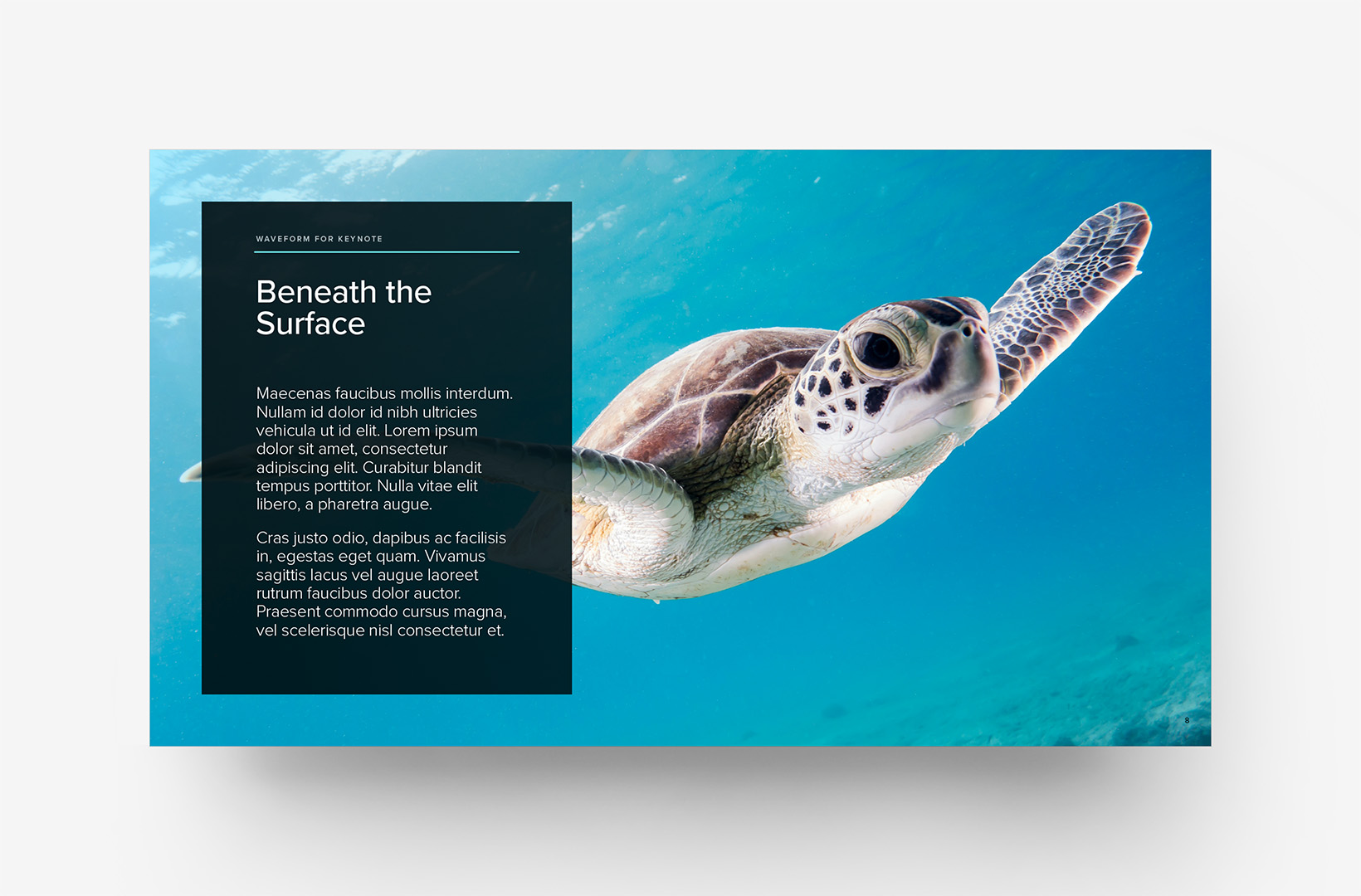 WaveForm for Keynote - Background Photo Layout