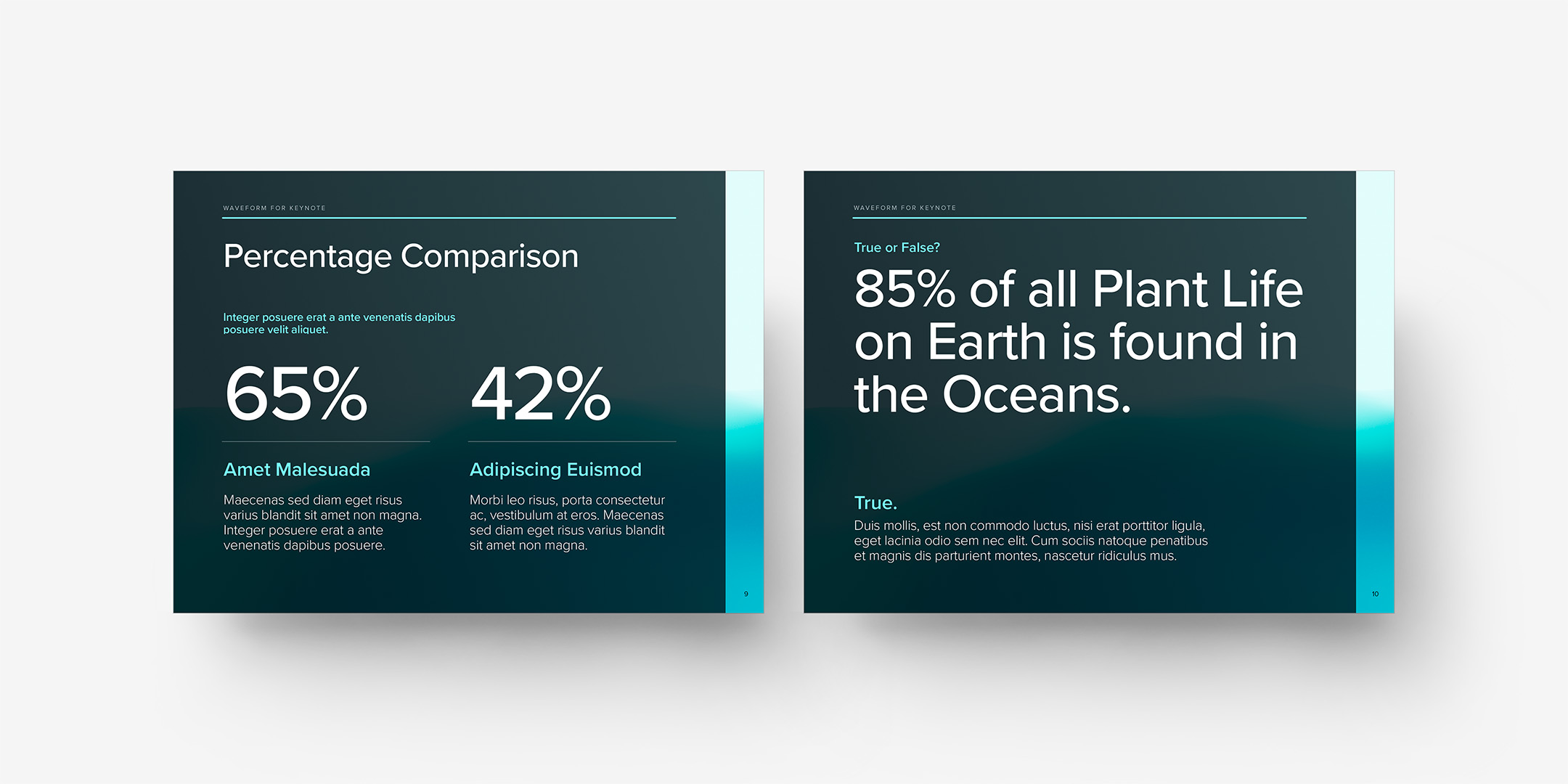 WaveForm - Percentage Comparison and True or False Layouts