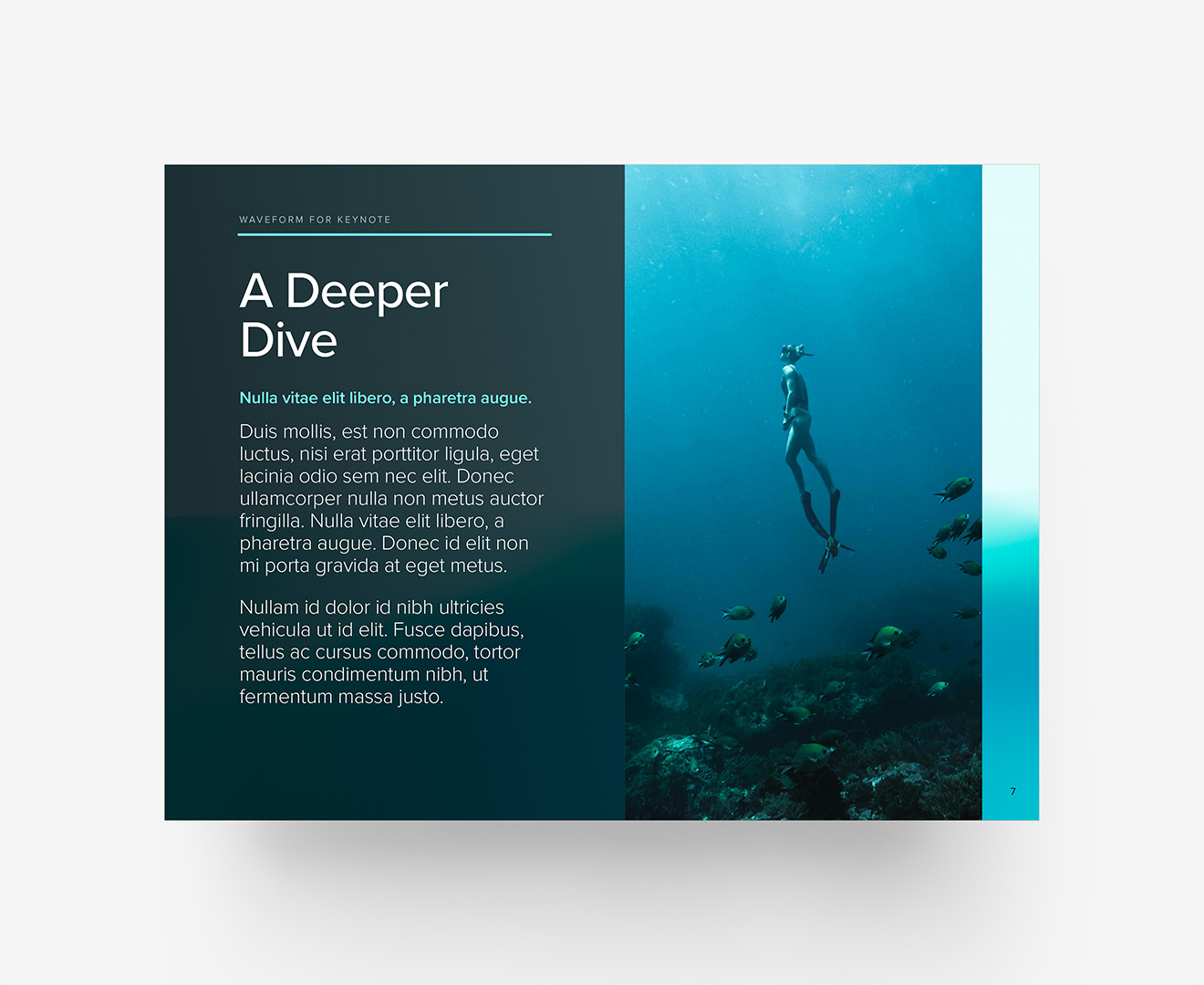 WaveForm - Portrait Photo Layout