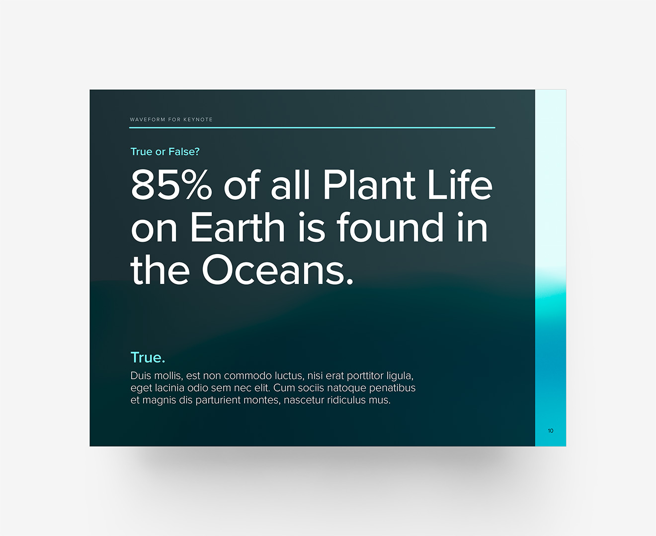 WaveForm - True or False Layout