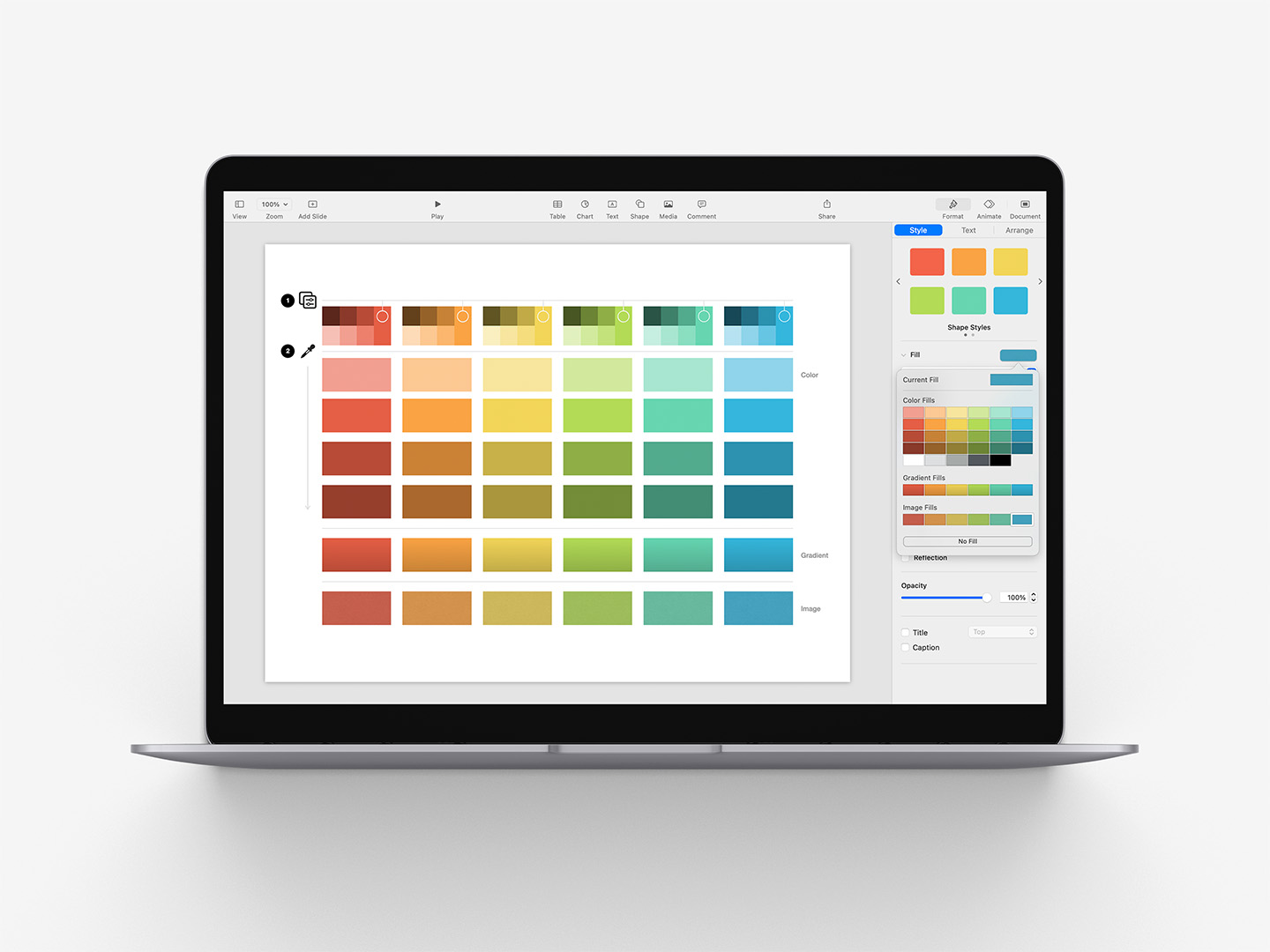 Transforming the Fills Palette