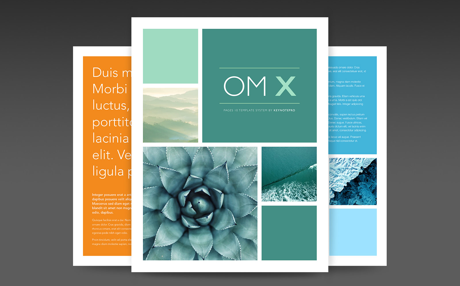 OM X Template System for Pages (2020)