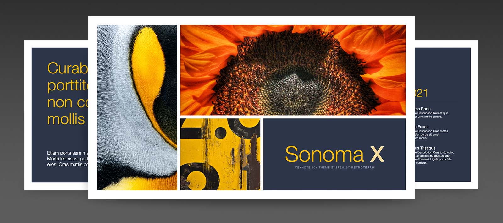 Sonoma X for Keynote 10+